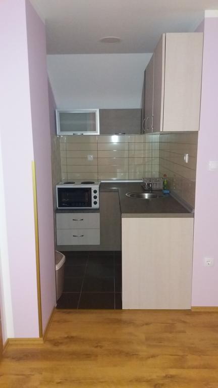 Apartmani Aleksijevic Zlatibor Dış mekan fotoğraf