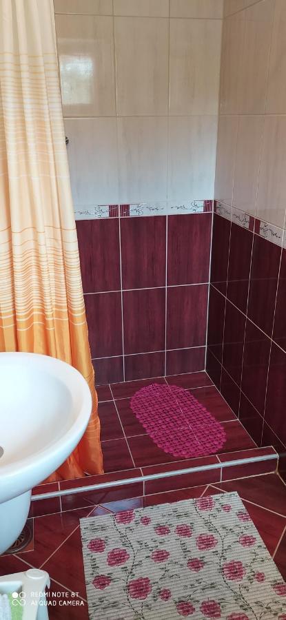 Apartmani Aleksijevic Zlatibor Dış mekan fotoğraf