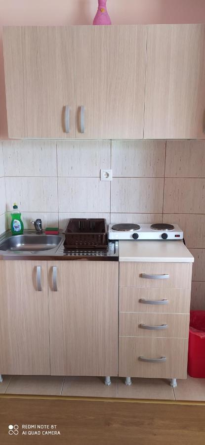 Apartmani Aleksijevic Zlatibor Dış mekan fotoğraf
