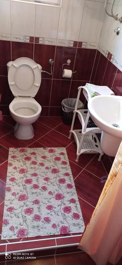 Apartmani Aleksijevic Zlatibor Dış mekan fotoğraf